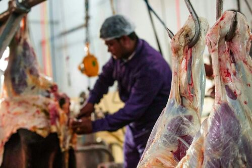 Meat Exporter IM Foods India